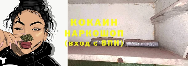 СК Алексин