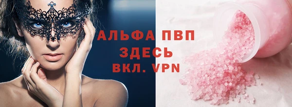 СК Алексин