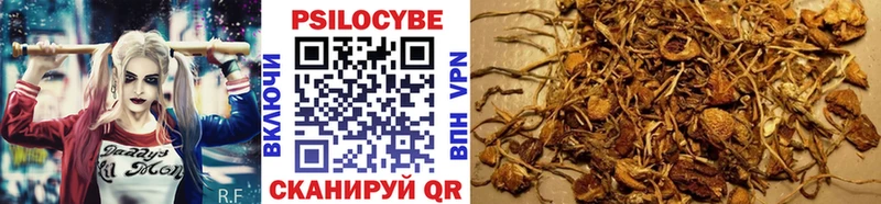 Галлюциногенные грибы ЛСД  Гдов 